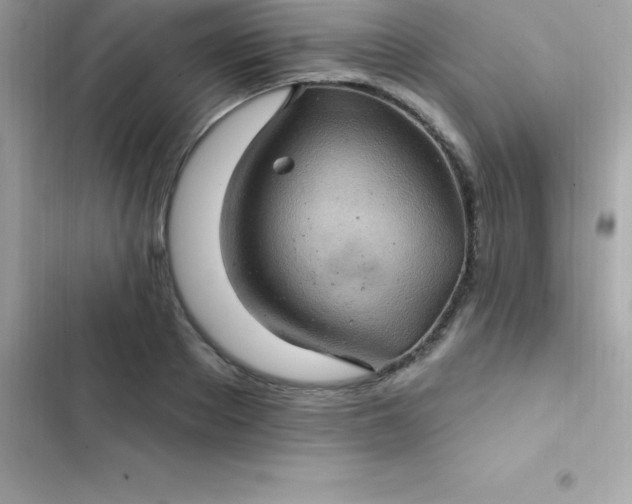 X0000103320889200809192137