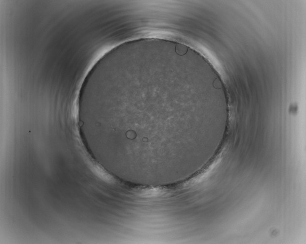 X0000103320891200809192137