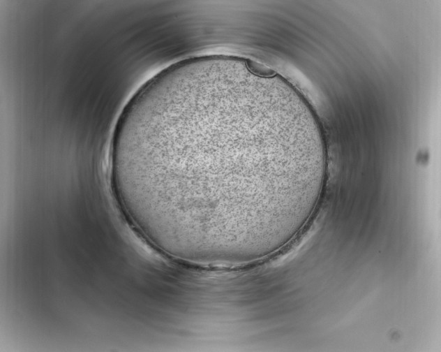 X0000103320892200809192137