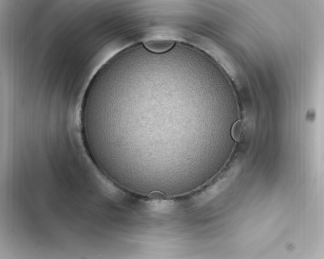 X0000103320893200809192137