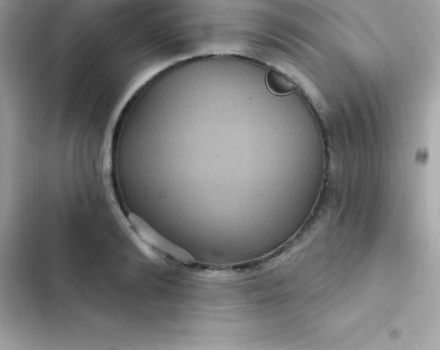 X0000103320894200809192137