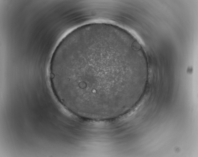 X0000103320895200809192137