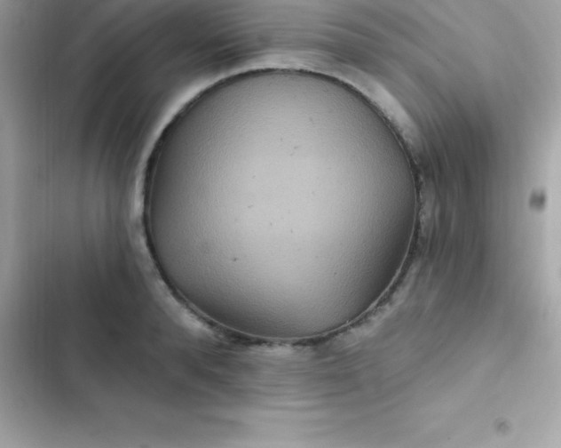 X0000103320896200809192137