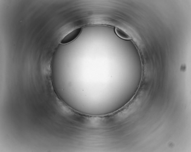 X0000103320897200809192137