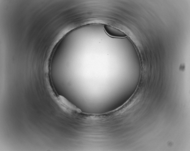 X0000103320898200809192137