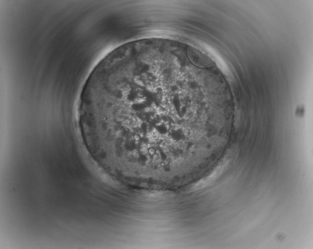 X0000103320899200809192137