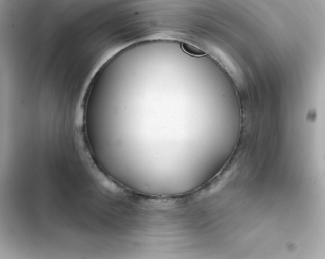 X0000103320900200809192137