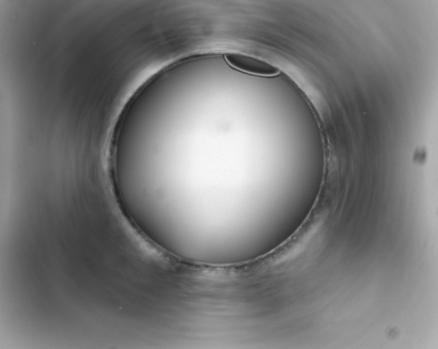 X0000103320901200809192137