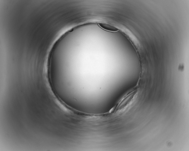 X0000103320902200809192137