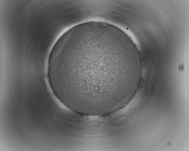 X0000103320903200809192137