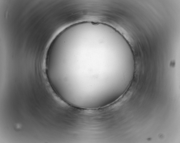 X0000103320904200809192137