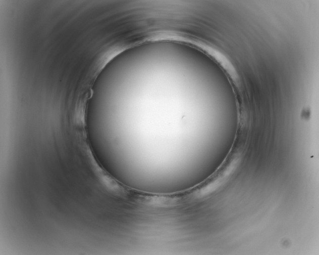 X0000103320905200809192137