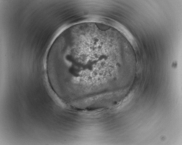 X0000103320907200809192137