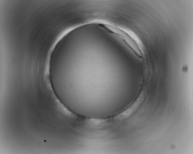 X0000103320910200809192137