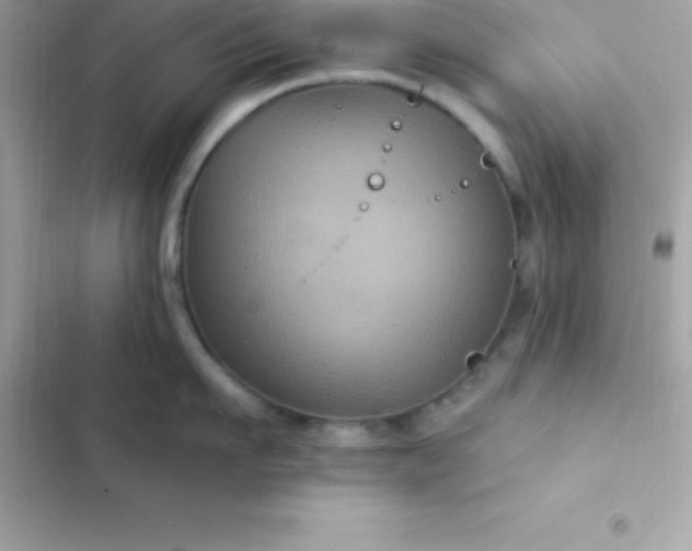 X0000103320911200809192137