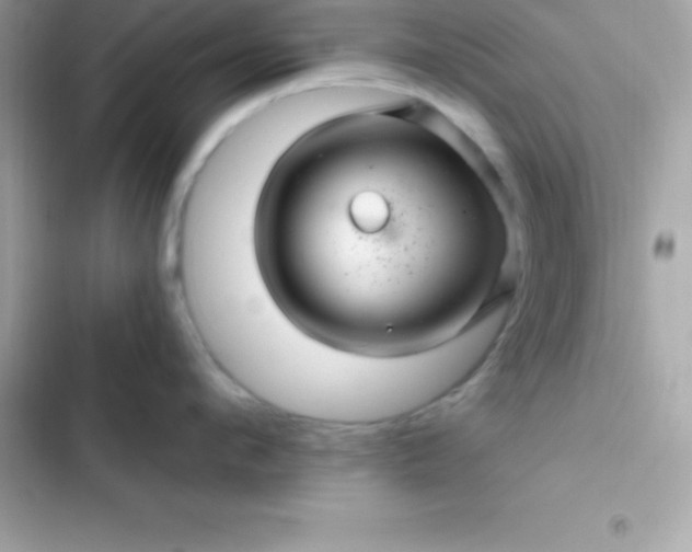 X0000103320912200809192137