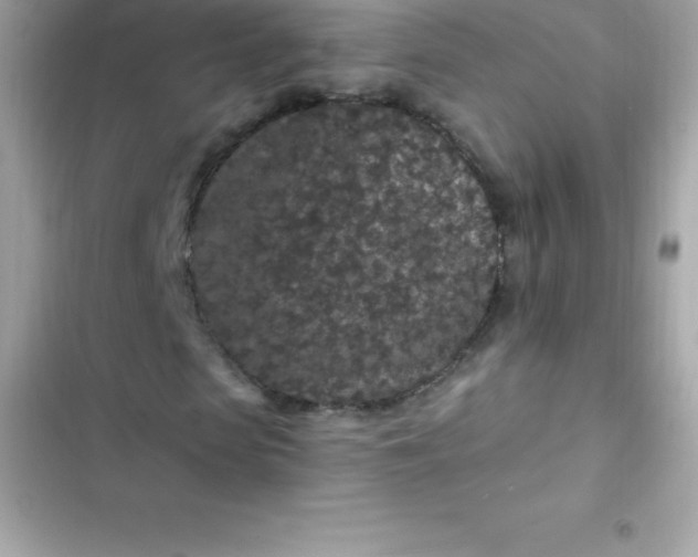 X0000103320913200809192136