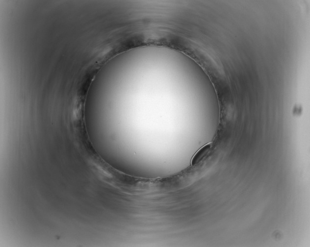 X0000103320914200809192136