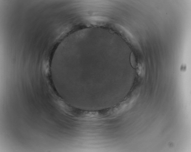 X0000103320915200809192136