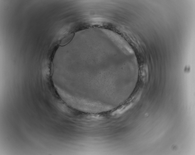 X0000103320916200809192136