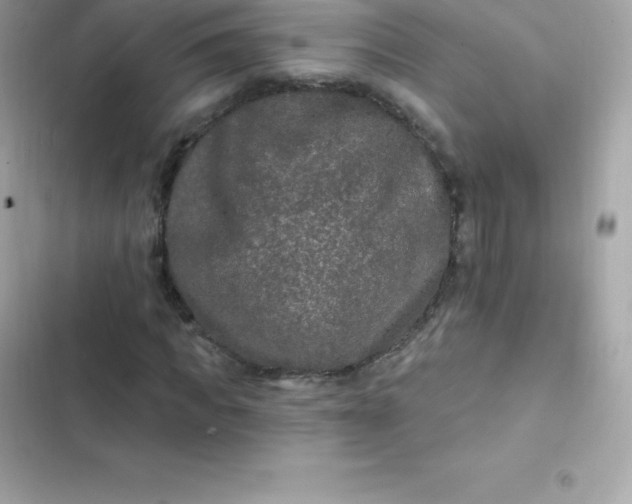 X0000103320917200809192136