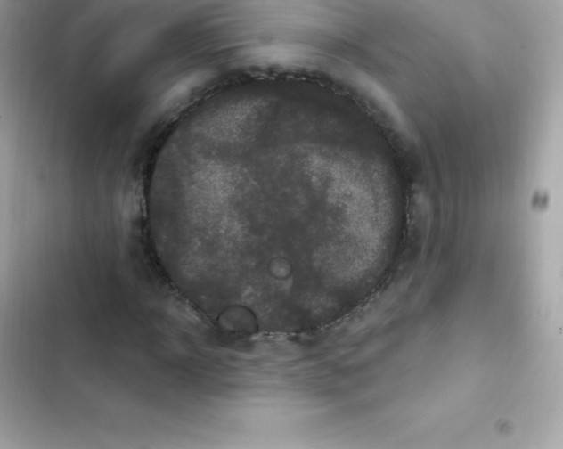 X0000103320918200809192136