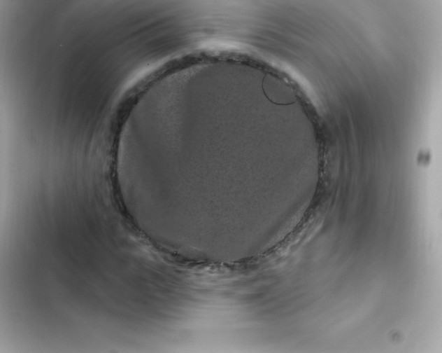 X0000103320919200809192136