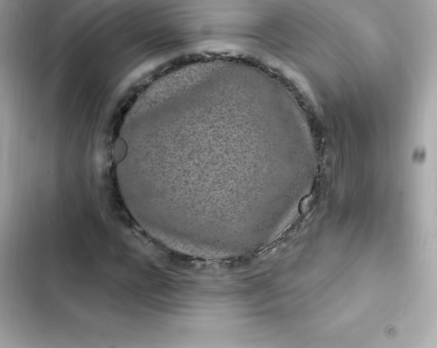 X0000103320920200809192136