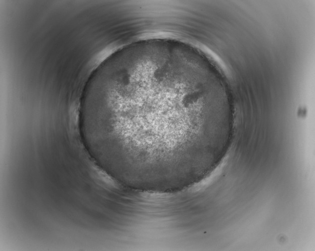 X0000103320921200809192136