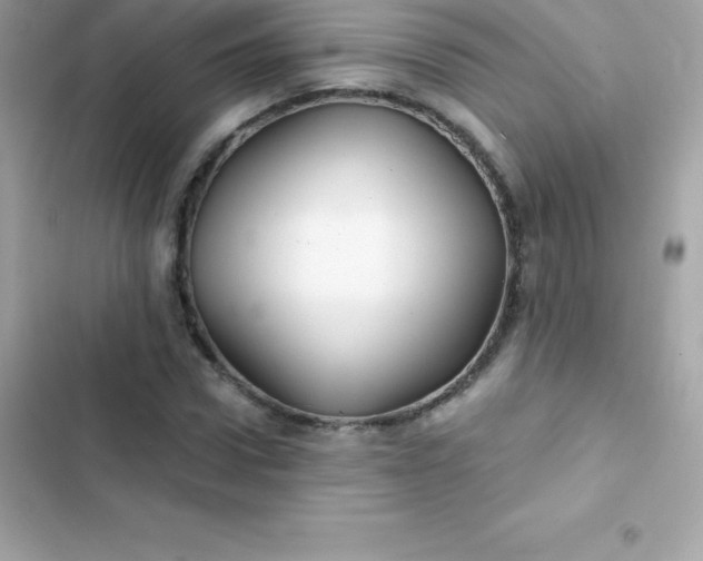 X0000103320922200809192136