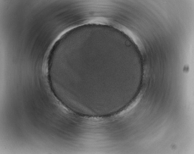 X0000103320923200809192136