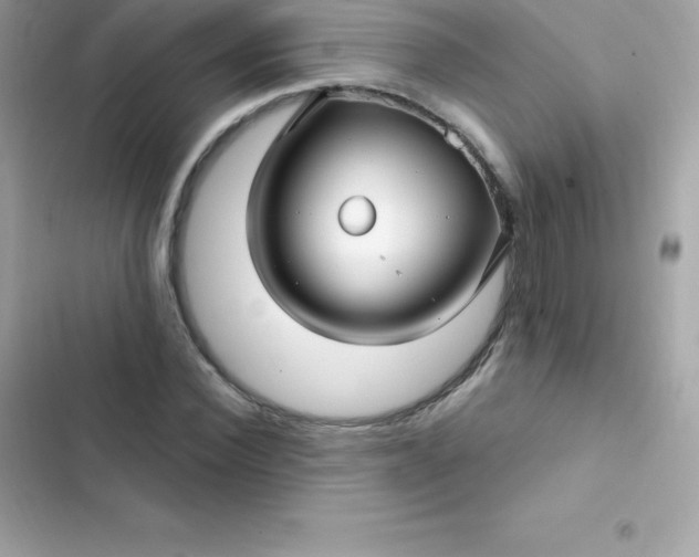 X0000103320924200809192136