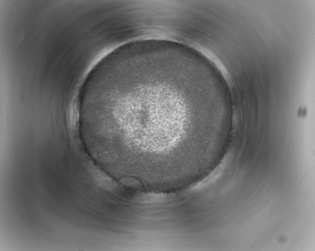 X0000103320925200809192136