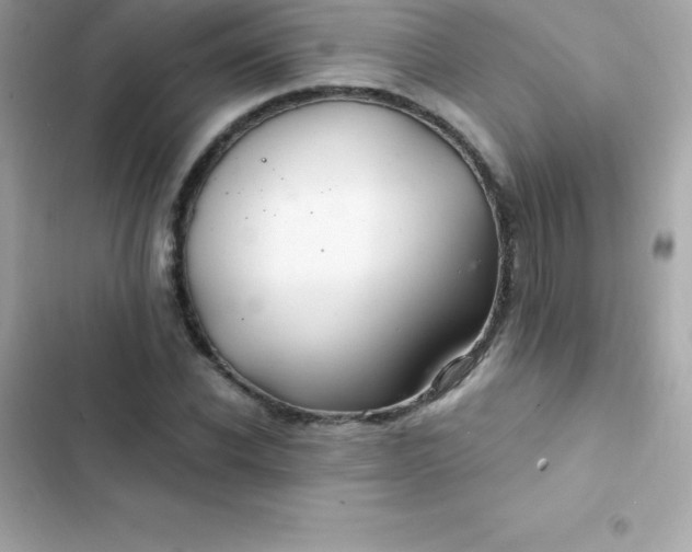 X0000103320926200809192136