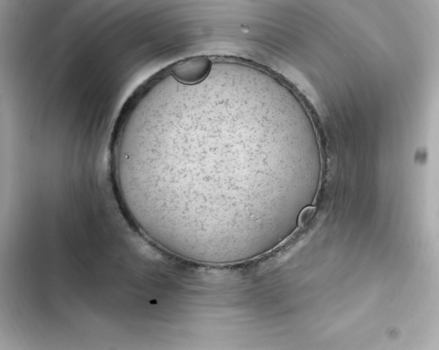 X0000103320928200809192137