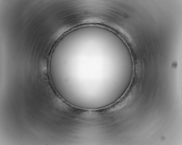 X0000103320929200809192137