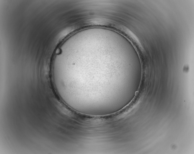 X0000103320930200809192137