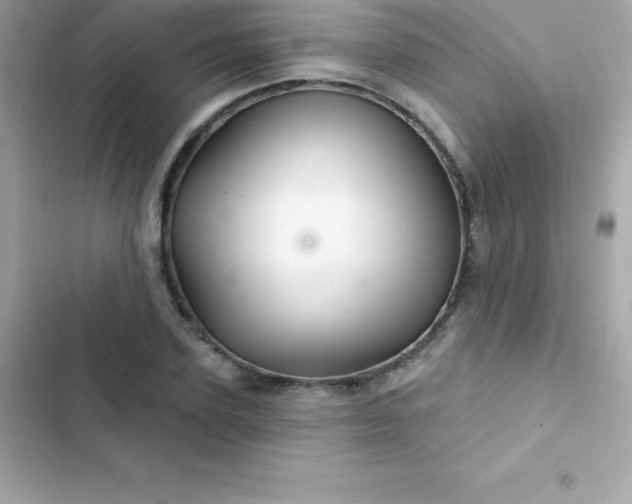 X0000103320931200809192137