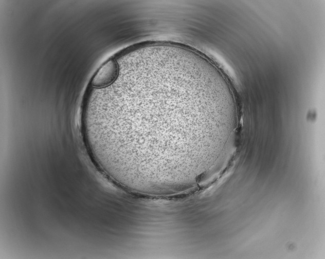 X0000103320932200809192137