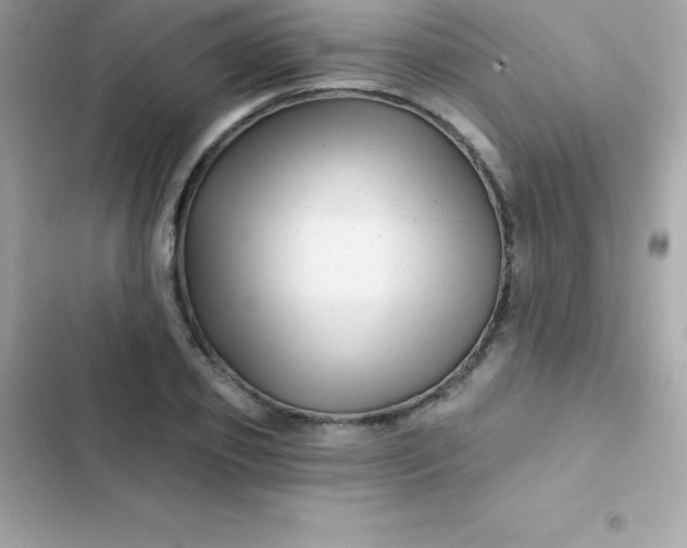 X0000103320933200809192137