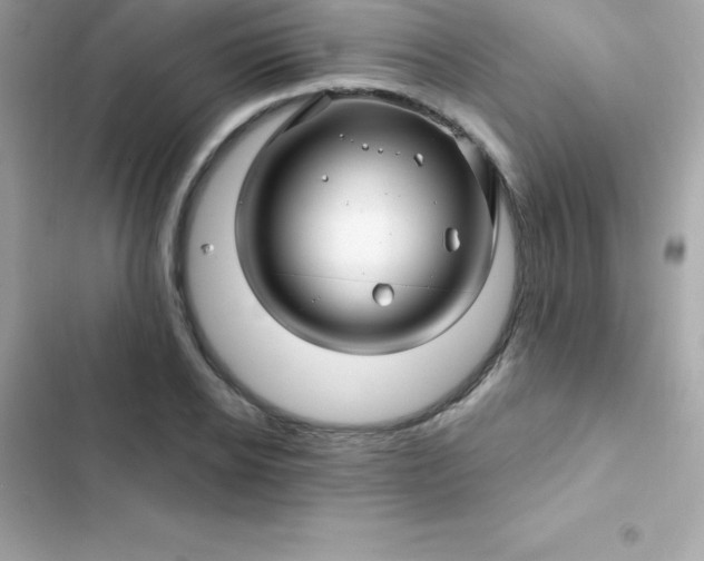 X0000103320934200809192137