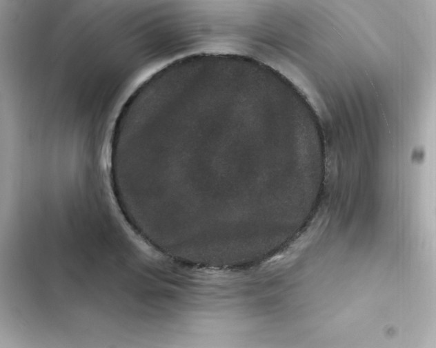 X0000103320935200809192137