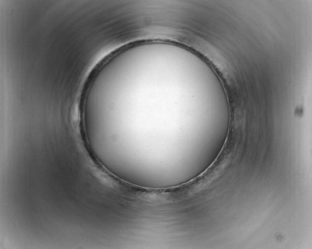 X0000103320936200809192137