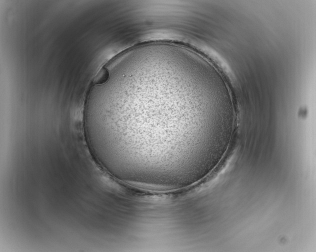 X0000103320937200809192137