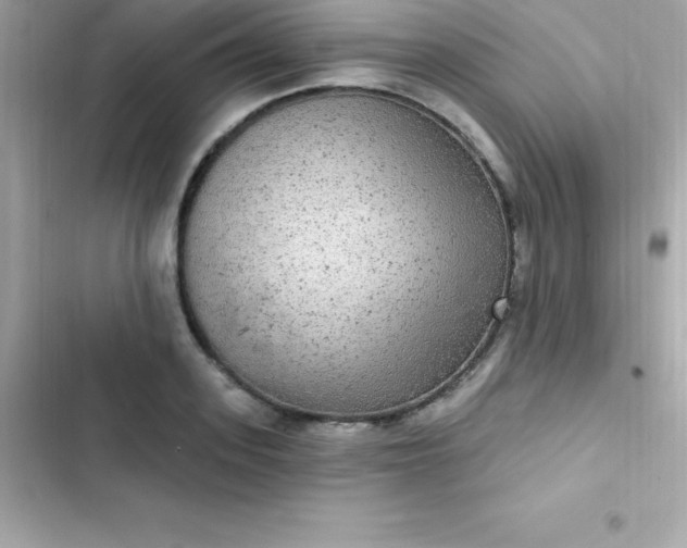 X0000103320939200809192137