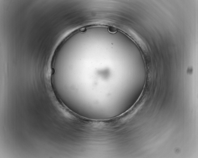 X0000103320940200809192137