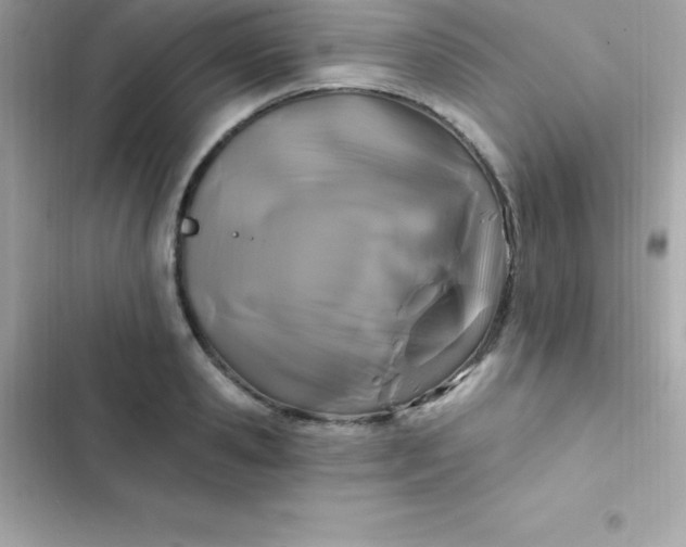 X0000103320941200809192137