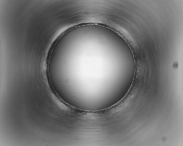 X0000103320942200809192137