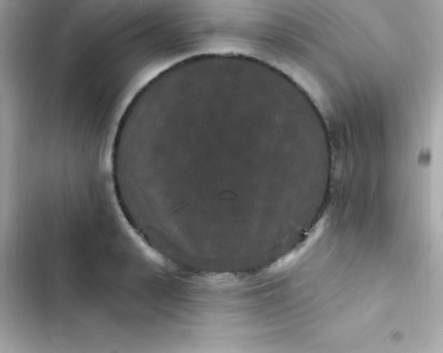 X0000103320943200809192137