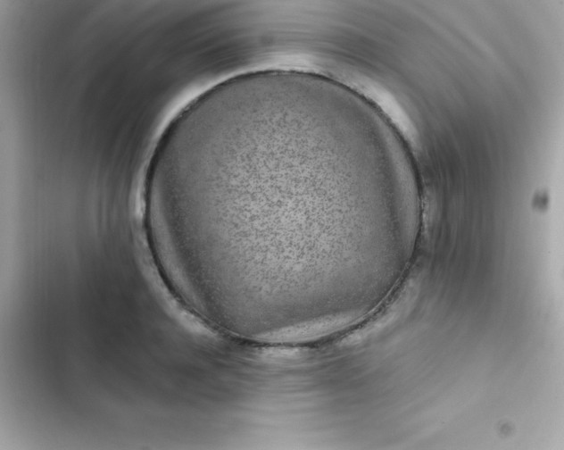 X0000103320944200809192137